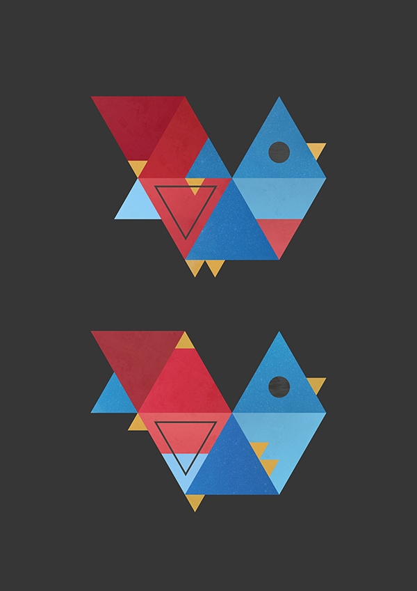 Birds of Geometry